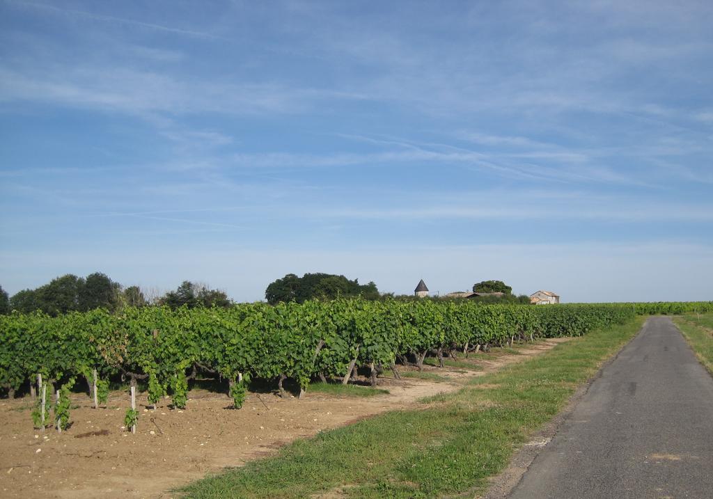 Villa La Petite Grange Lorignac Exterior foto